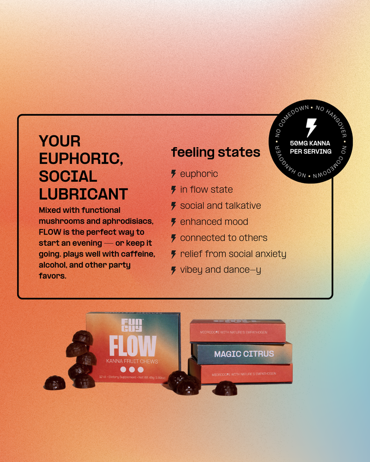 Fun Guy Flow Kana Fruit Chews - Image 2