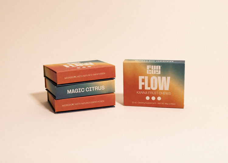 Fun Guy Flow Kana Fruit Chews