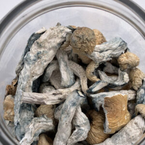 Creature Magic Mushrooms | 7g-28g dried shrooms