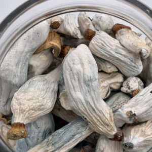 Dante’s Inferno Magic Mushrooms 🍄 | 7-28g