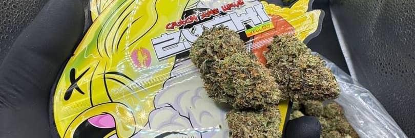 Yellow Zushi by The Ten Co strain close up