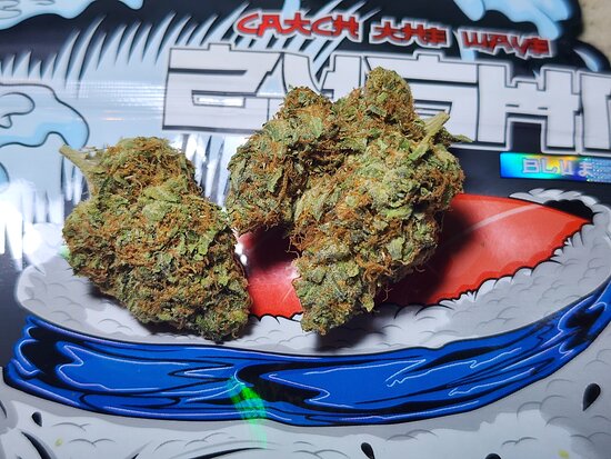 Blue Zushi strain by the ten co close-up