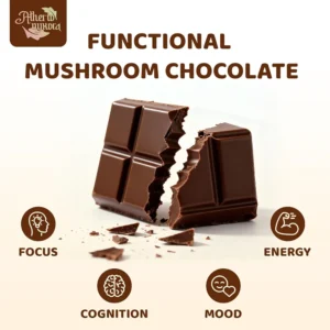 Functional Mushrooms Chocolate